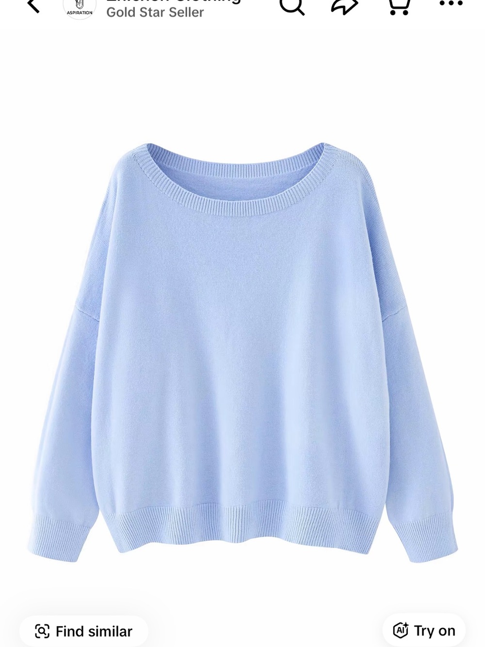 Light Blue Women's Crewneck Sweater